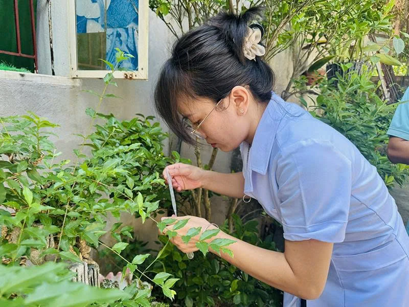 Tăng cường phòng bệnh sốt xuất huyết