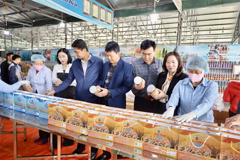 Phong trào “Nông dân sản xuất, kinh doanh giỏi” - sức lan tỏa bền vững của nông dân Thanh Hóa