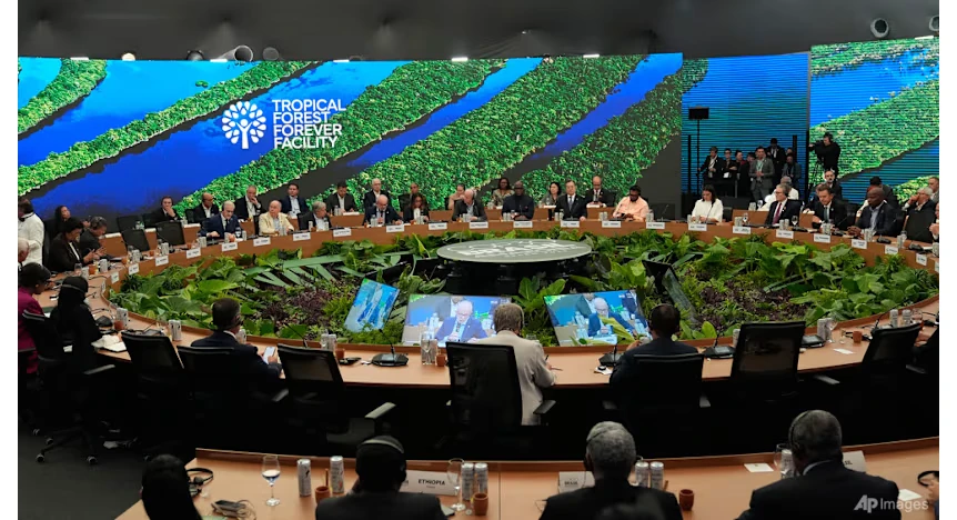 COP30: Tổng thống Brazil kêu gọi giảm nhiên liệu hóa thạch, Đức cam kết hỗ trợ quỹ bảo vệ rừng nhiệt đới