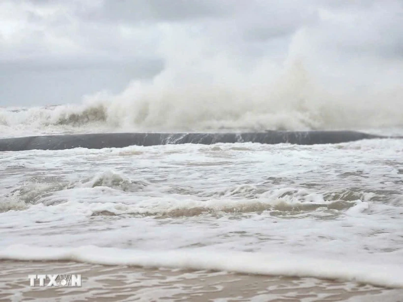 Từ nay đến giữa tháng 12 khả năng xuất hiện 1-2 cơn bão, áp thấp nhiệt đới