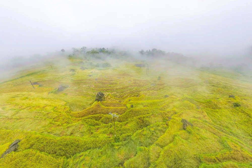 Pù Luông trong sương: “Sa Pa xứ Thanh” mê hoặc lòng người