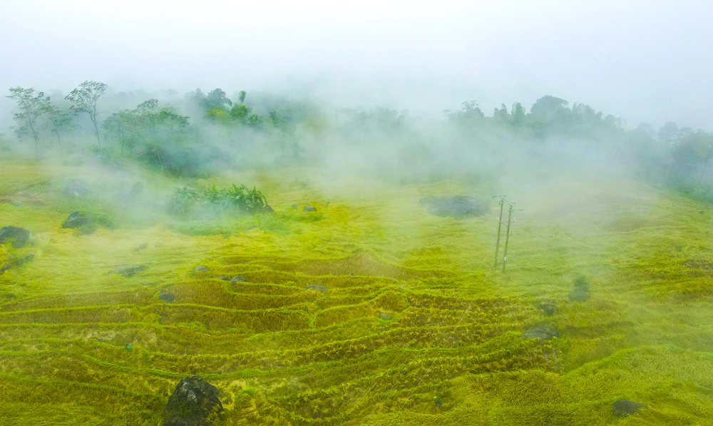 Pù Luông trong sương: “Sa Pa xứ Thanh” mê hoặc lòng người