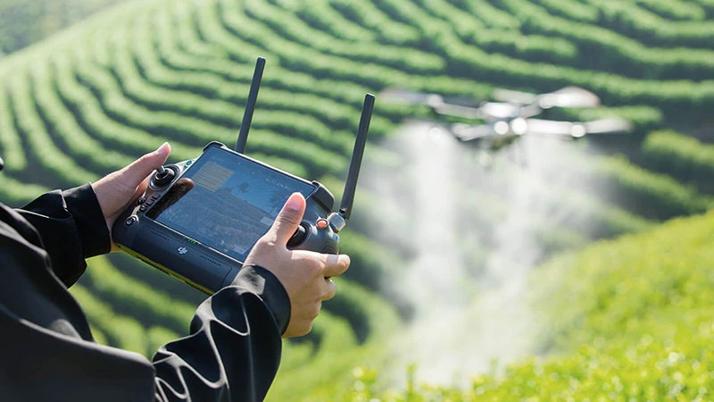 Quy định mới về việc Đào tạo, cấp giấy phép điều khiển phương tiện bay không người lái theo nghị định 288/NĐ-CP