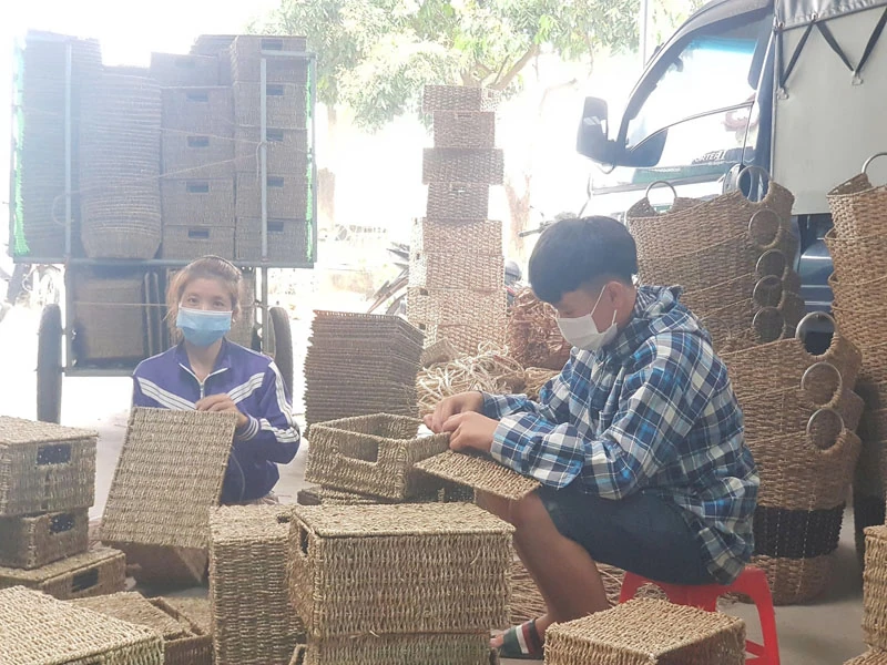 Lựa chọn, phát triển sản phẩm OCOP từ thế mạnh chủ lực