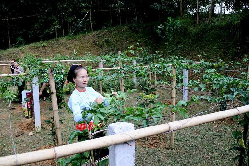 Cơ hội bình đẳng giới cho phụ nữ, trẻ em vùng miền núi khó khăn