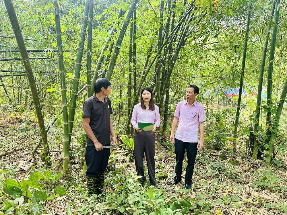 Hạ lãi suất nhiều chương trình tín dụng chính sách