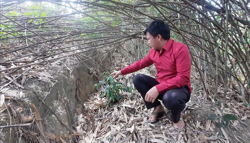 Sớm triển khai các khu tái định cư ở xã Trung Lý