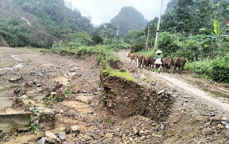 Thăm thẳm thôn Ruộng