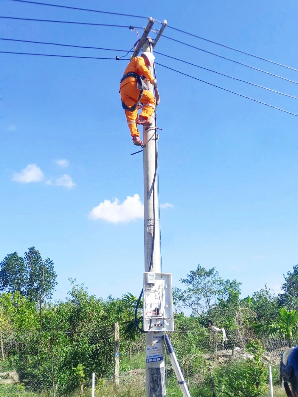 Đội QLĐL khu vực Hoằng Hóa hoàn thiện hệ thống đo đếm và chỉnh trang lưới điện dịp cuối năm 2025