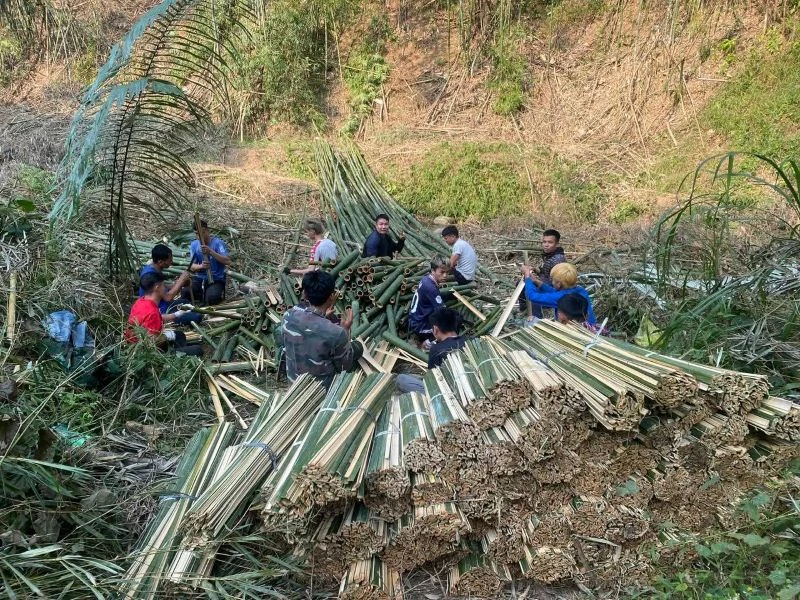 Khấp khởi luồng được giá