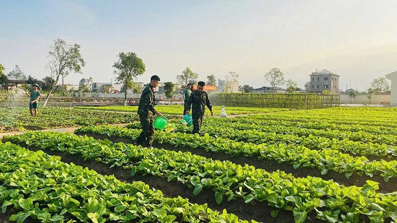 Thi đua Quyết thắng trong lực lượng vũ trang tỉnh: Gắn công tác xây dựng Đảng và học tập, làm theo Bác