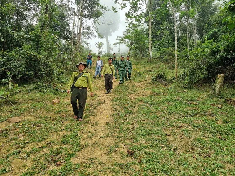 Phát triển rừng gắn phủ xanh đất trống, đồi núi trọc ở Trung Lý