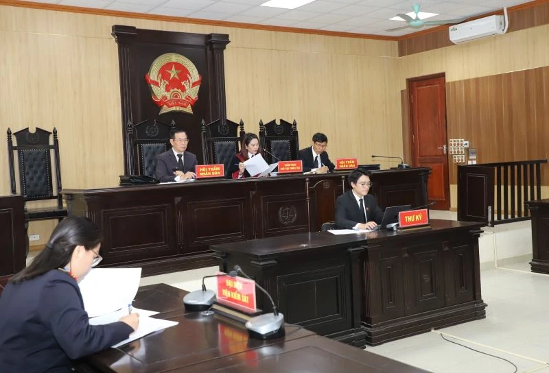 Xét xử Vi “Ngộ” về tội trốn thuế