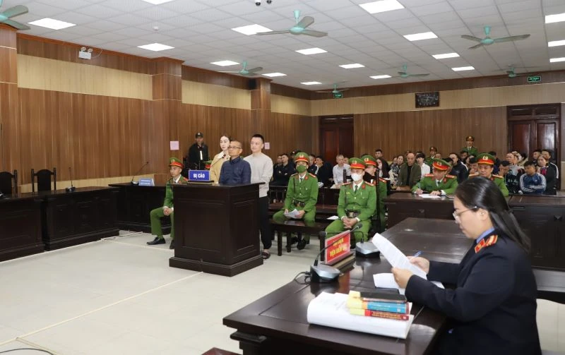 Xét xử Vi “Ngộ” về tội trốn thuế