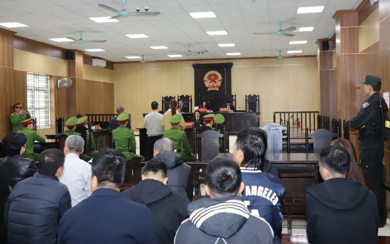 Xét xử Vi “Ngộ” về tội trốn thuế