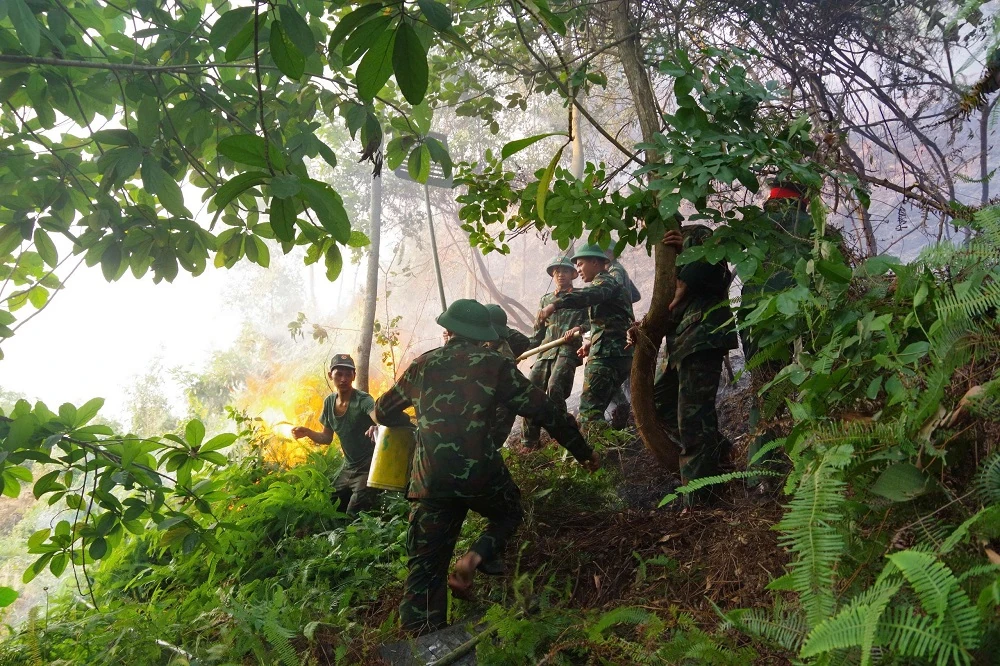 Kịp thời dập tắt đám cháy rừng trên địa bàn phường Quang Trung