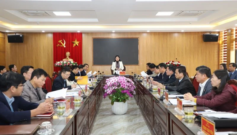 Giám sát công tác lãnh đạo, chỉ đạo, tổ chức thực hiện công tác bầu cử đại biểu Quốc hội và HĐND các cấp