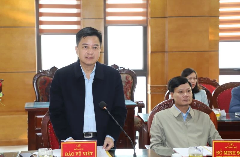 Giám sát công tác lãnh đạo, chỉ đạo, tổ chức thực hiện công tác bầu cử đại biểu Quốc hội và HĐND các cấp