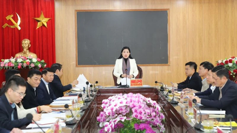 Giám sát công tác lãnh đạo, chỉ đạo, tổ chức thực hiện công tác bầu cử đại biểu Quốc hội và HĐND các cấp