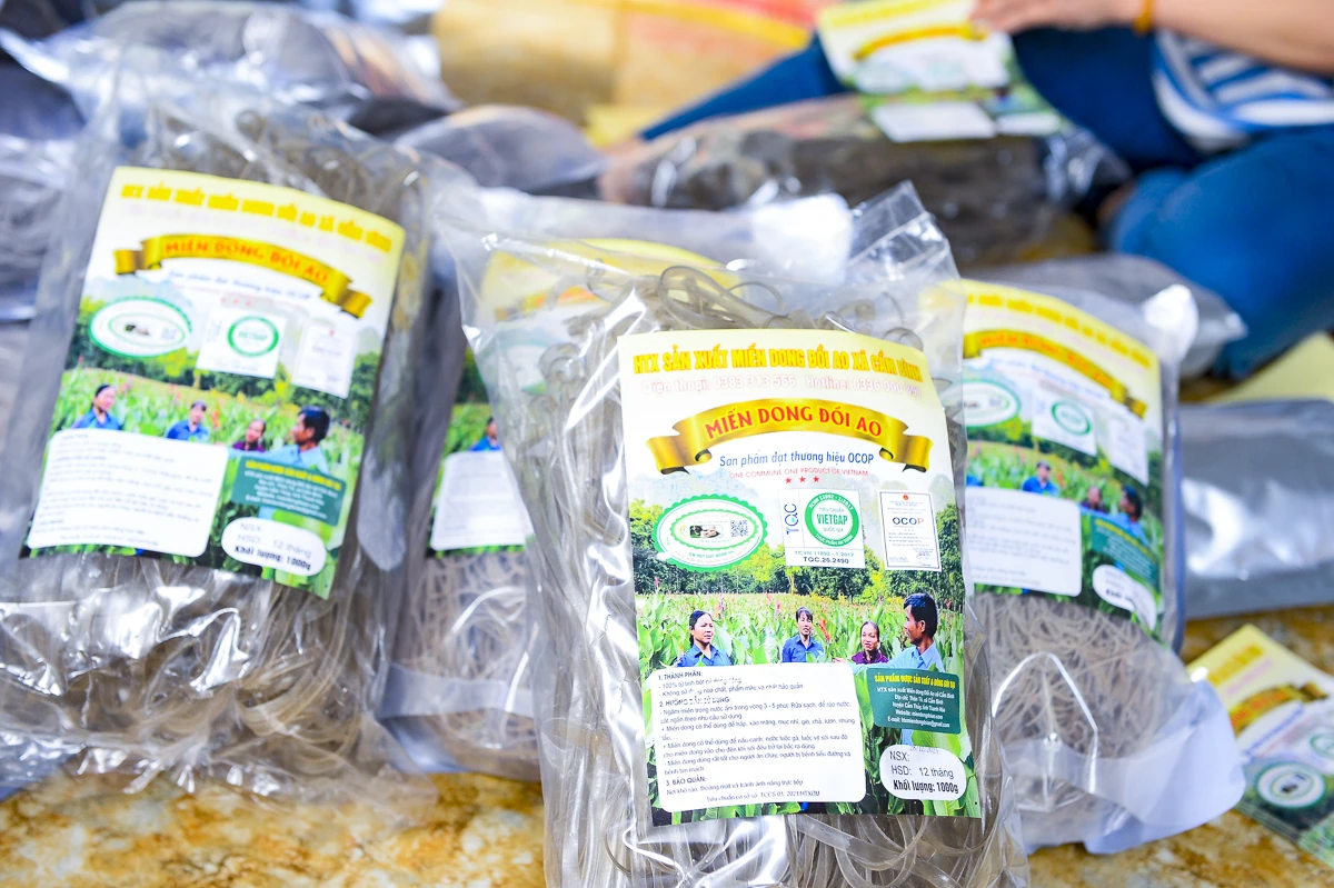 Vùng làm miến dong nổi tiếng ở xứ Thanh vào vụ Tết