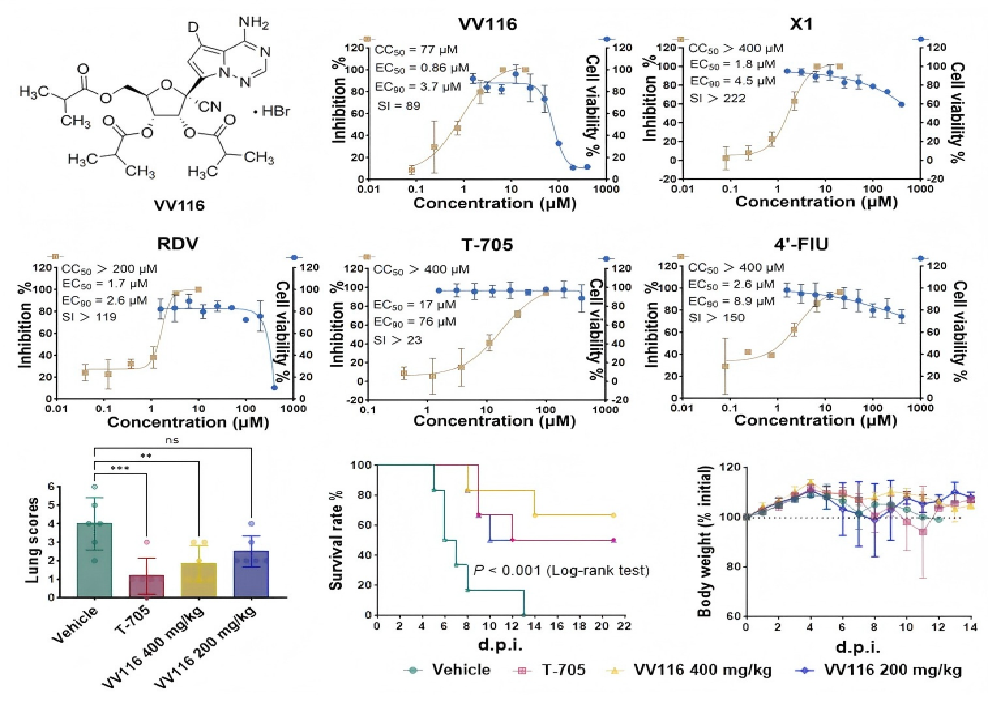 Thuốc kháng virus dạng uống của Trung Quốc mở ra hướng nghiên cứu điều trị virus Nipah