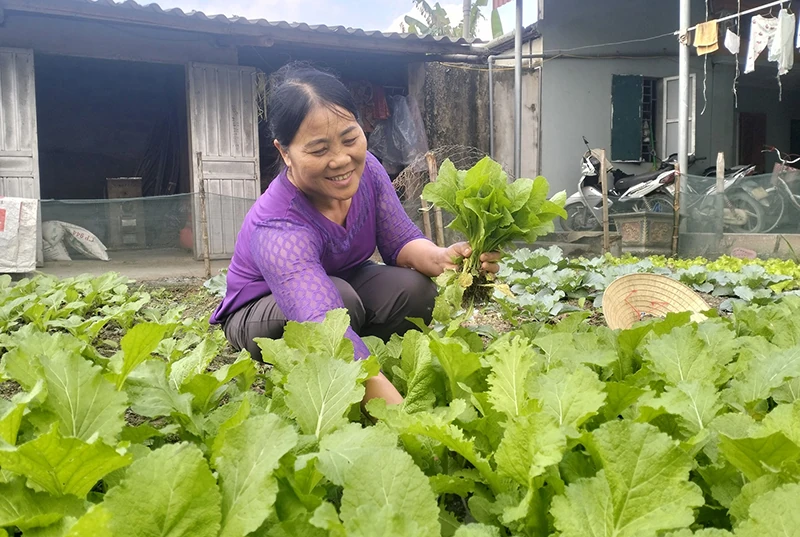 Đứng dậy sau lũ