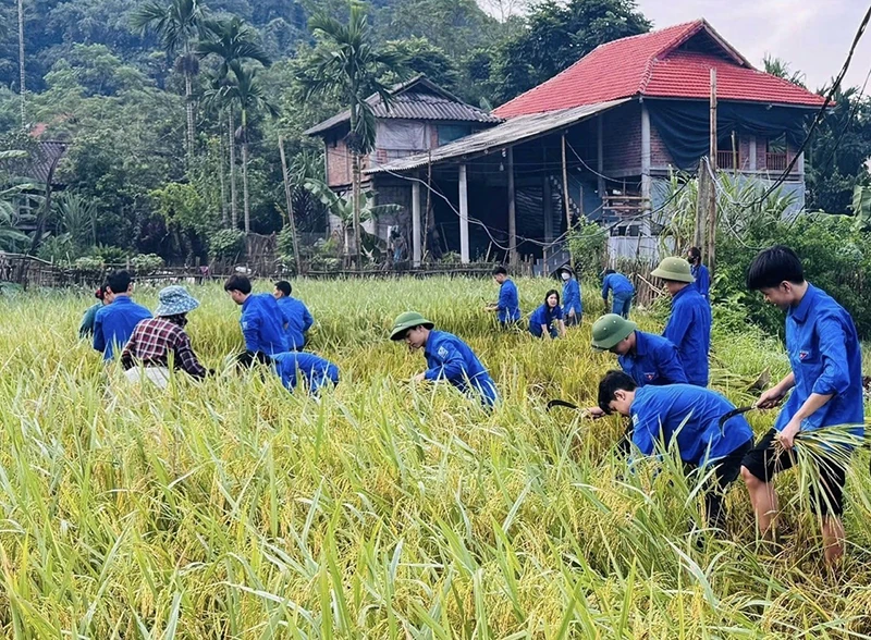 Sức trẻ tình nguyện