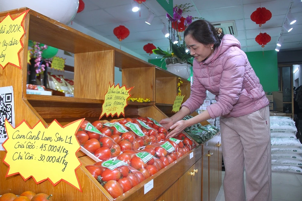 Thêm 2 Cửa hàng giới thiệu rau quả sạch Lam Sơn tại trung tâm phường Hạc Thành đi vào hoạt động