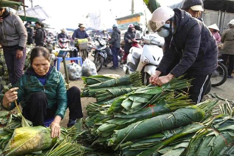 Khi hương xuân lên sóng