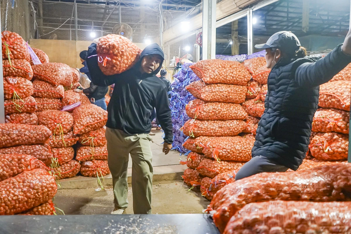 Đêm ở chợ đầu mối lớn nhất xứ Thanh trước thềm năm mới