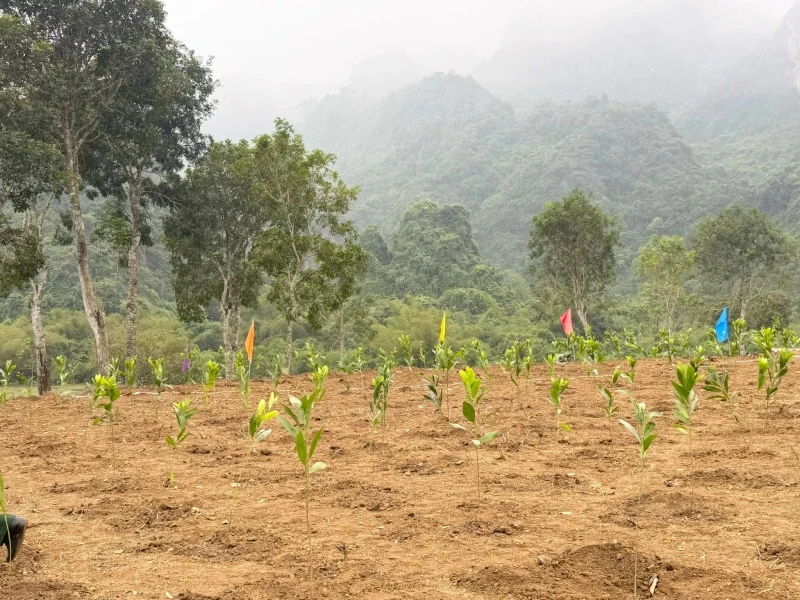 Cục Quân khí phát động “Tết trồng cây đời đời nhớ ơn Bác Hồ” tại xã Yên Thọ