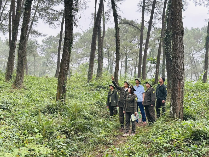 Giữ rừng trong mùa lễ hội