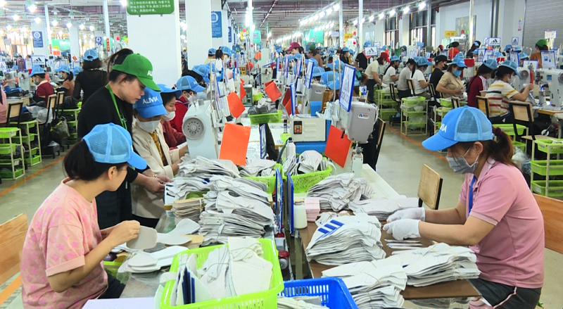 Xã Thiệu Hóa phát triển kinh tế đa ngành nghề, nâng cao thu nhập cho người dân