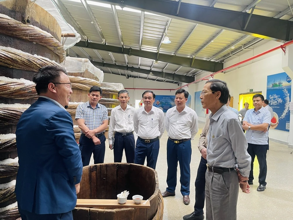 Phát huy tiềm năng, tạo bước phát triển đột phá cho Khu du lịch sinh thái biển Hải Tiến