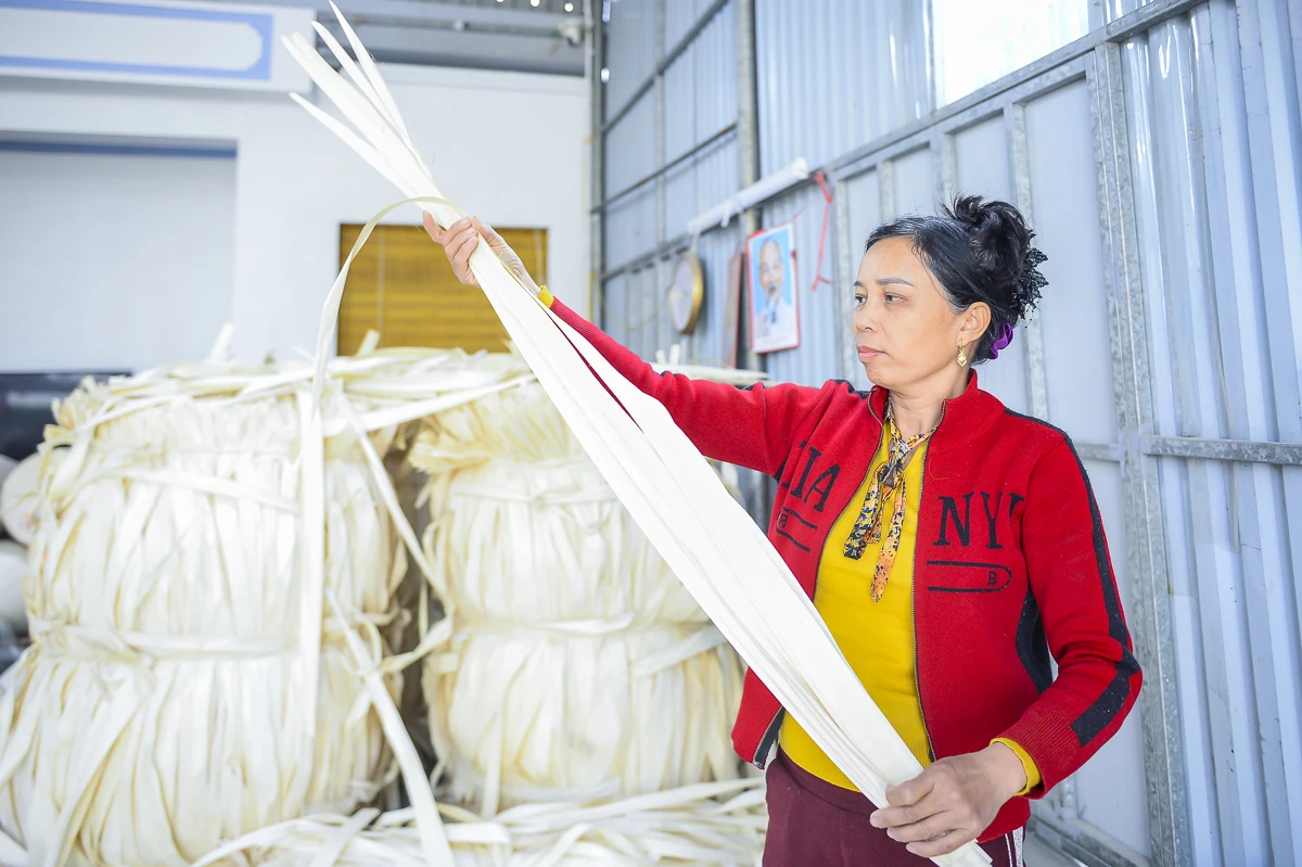 Nón lá Trường Văn: Giữ nghề để giữ sinh kế