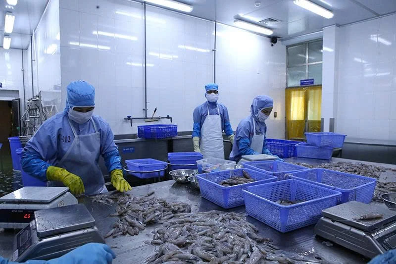 Gỡ khó cho doanh nghiệp thủy sản