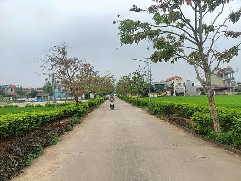 Xuân Lập phát triển hạ tầng giao thông, xây dựng nông thôn mới