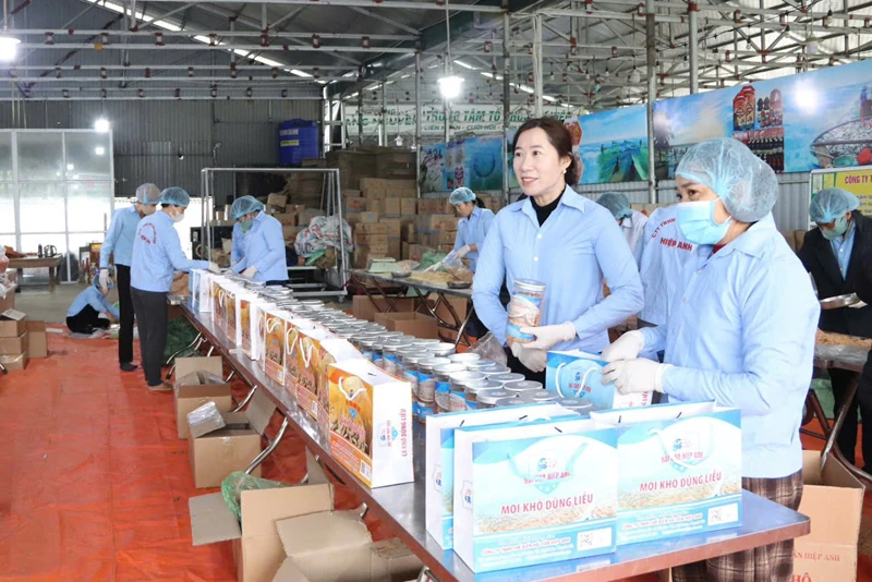 Những phụ nữ làm kinh tế giỏi, an sinh xã hội tốt