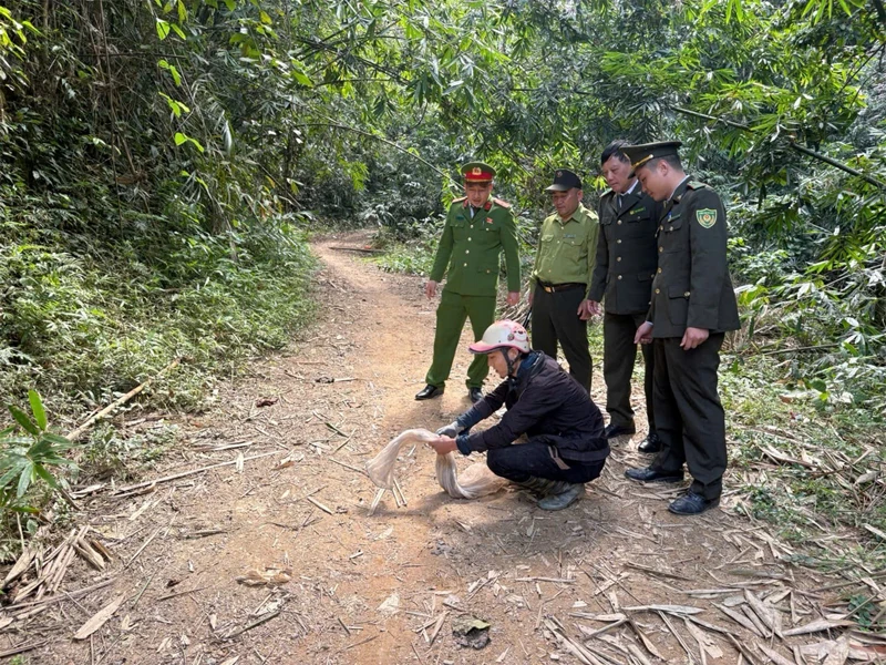 Xử lý nghiêm các hành vi xâm hại động vật hoang dã