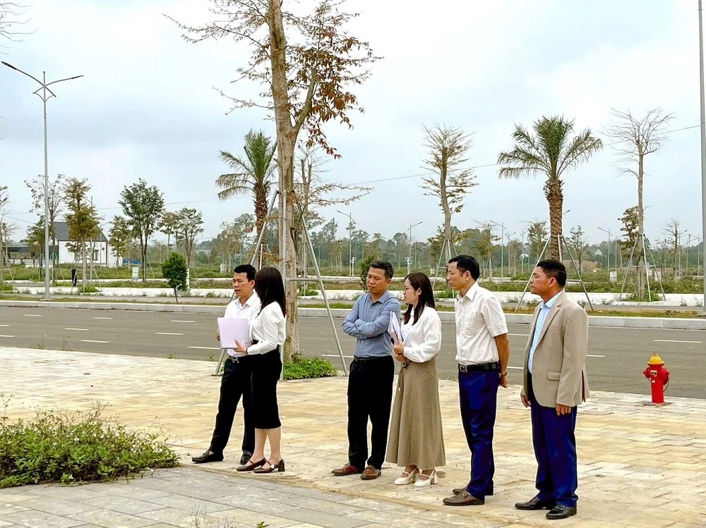 Hiệu ứng lan tỏa: Nhu cầu gia tăng đột biến