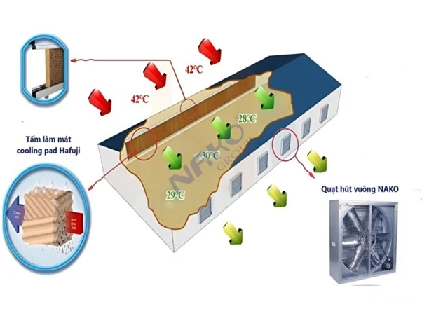 Làm mát nhà xưởng diện tích lớn với chi phí vận hành chỉ bằng 1/10 máy lạnh