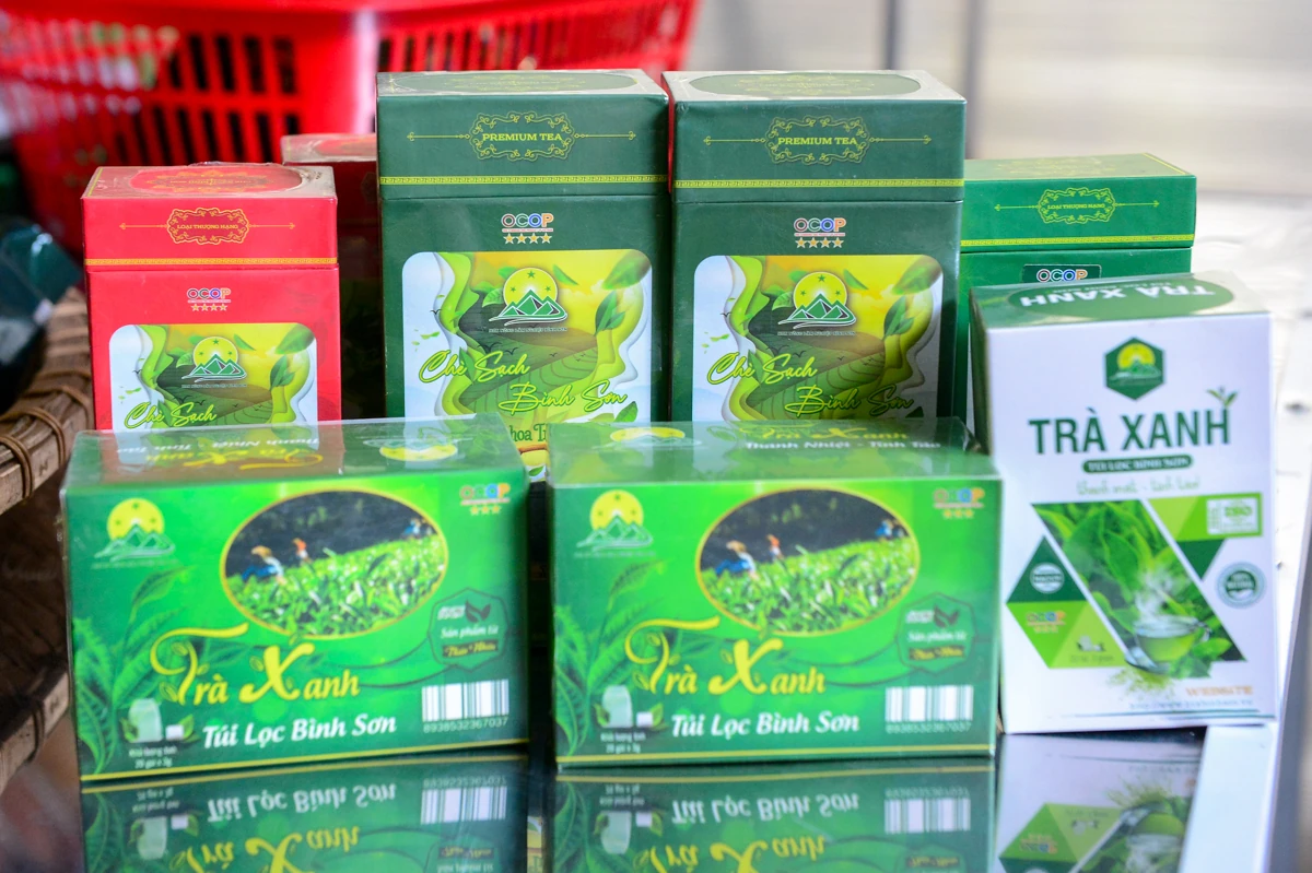 Từ búp chè xanh trên đồi đến sản phẩm OCOP 4 sao