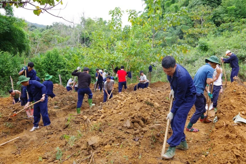 Cuộc đua với thời gian đưa các anh về đất mẹ