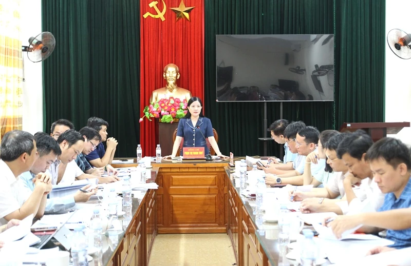 Đoàn kiểm tra của Ban Thường vụ Tỉnh ủy làm việc với 5 xã