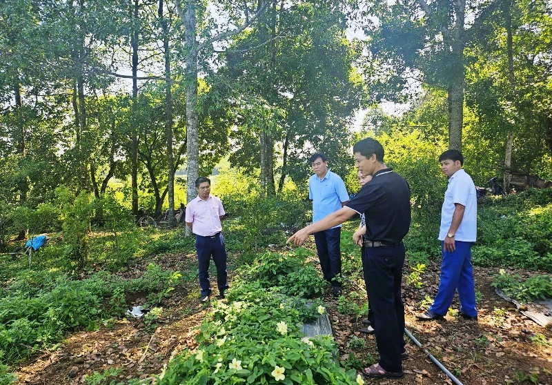 Kiểm tra, giám sát hoạt động tín dụng chính sách tại xã Vĩnh Lộc