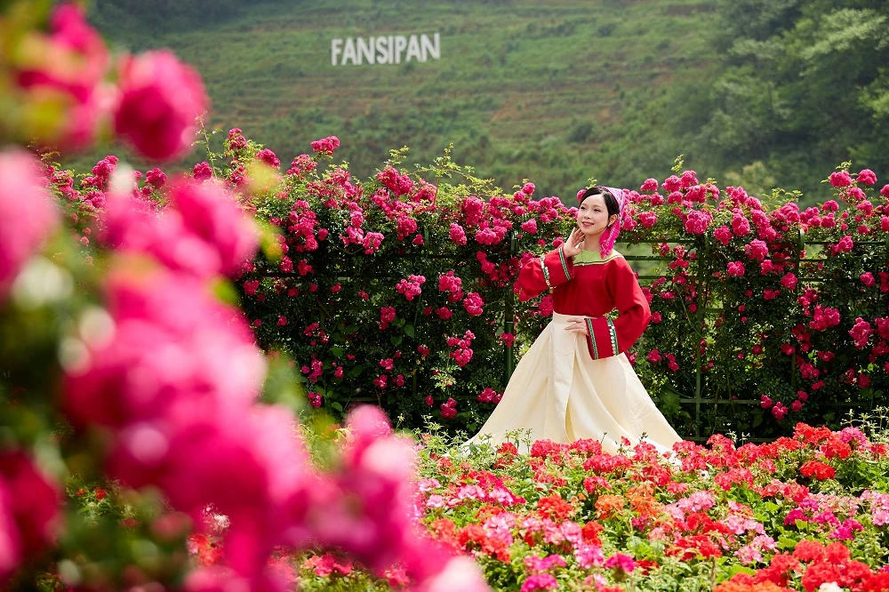 Khám phá “ốc đảo mát lạnh” của miền Bắc tại Sa Pa mùa hè này