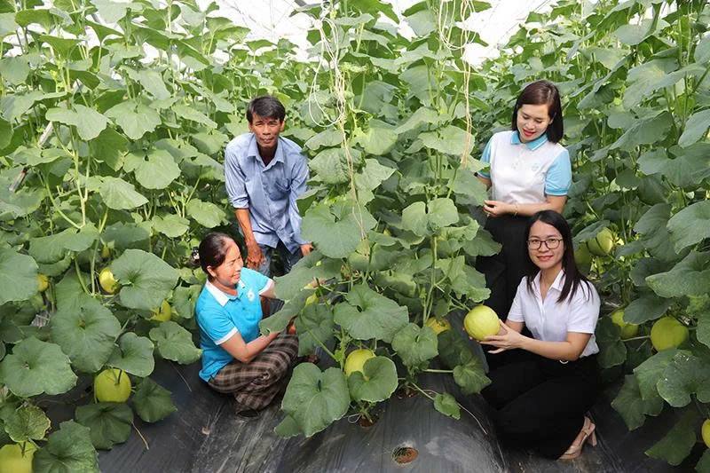 Nguồn vốn trao tay - trao cơ hội làm giàu