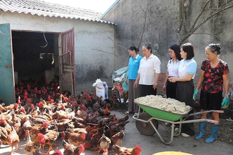 Nguồn vốn trao tay - trao cơ hội làm giàu