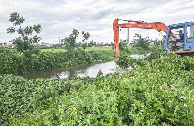 Chủ động ứng phó với xâm nhập mặn