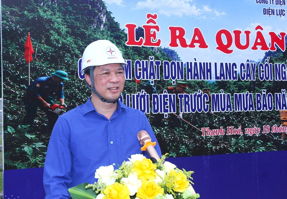 Phường Hàm Rồng ra quân giải phóng hành lang an toàn lưới điện